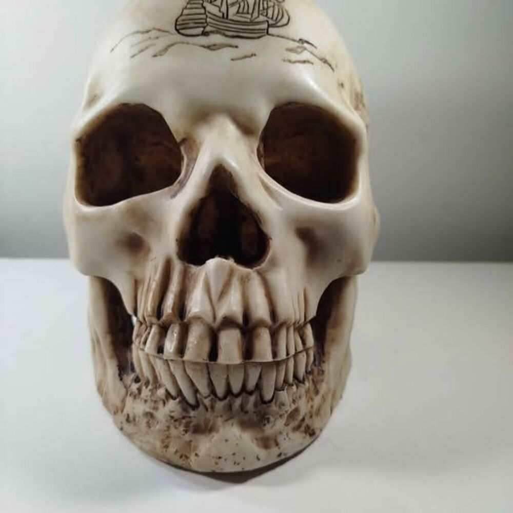 Decorative Skull with Antique Map Engraving Pirate Nautical Style Summit 2015Tre
